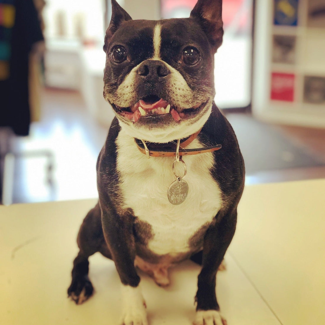 Welcome to Arlo’s Corner: Stories, Printing Tips, and Community From Think D’sign Print